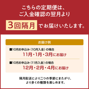 島の ケーキ屋さん の 季節 の アラカルト 定期便 （ 隔月 ） C035-T01 菓子 お菓子 スイーツ