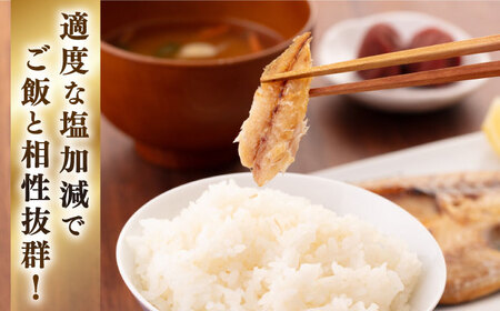 【全2回定期便】厳選 干物 セット [JAQ016] ひもの