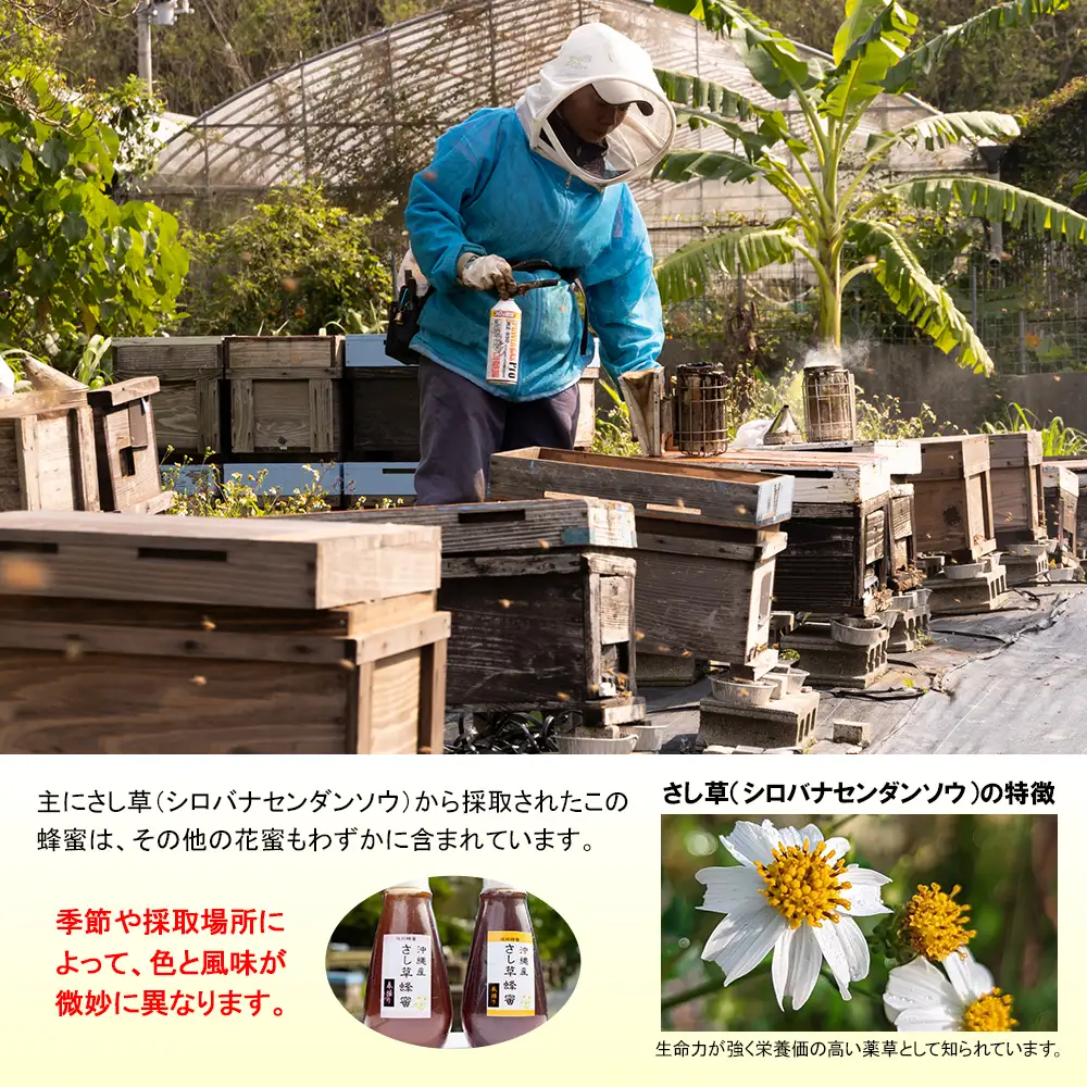 純粋蜂蜜　沖縄産　さし草蜂蜜　秋採り　500g×2本　南風原町採取