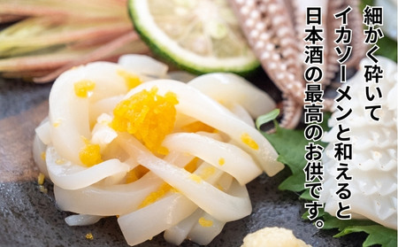 【 からすみ 】 からすみ訳あり