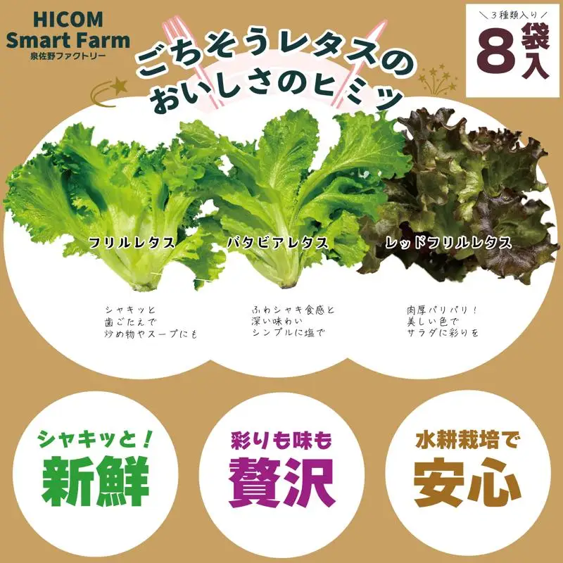 【栽培期間中農薬不使用】フリルレタス／レッドフリルレタス／バタビアレタス 食べ比べセット（8袋入り）