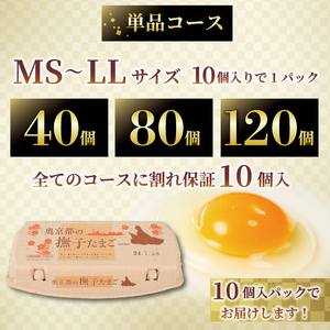 奥京都の撫子たまご 三和鶏園 MS～LLサイズ(40個入・30個＆割れ保証10個) ふるさと納税 福知山市 卵 たまご タマゴ 濃い ピンクの卵 ピンク卵 玉子 セット 玉子焼き 卵焼き 卵かけご飯 ゆで卵 鶏卵 卵黄 玉子スープ 玉子サンド 玉子丼 ふるさと納税卵 ふるさと納税たまご ふるさと納税玉子 日用品 消耗品 tamago 生卵 国産 まとめ買い オムレツ たまご焼き 贈答 贈答用 プレゼント ギフト 【fc-DZ001】【有限会社三和鶏園 三和農場】