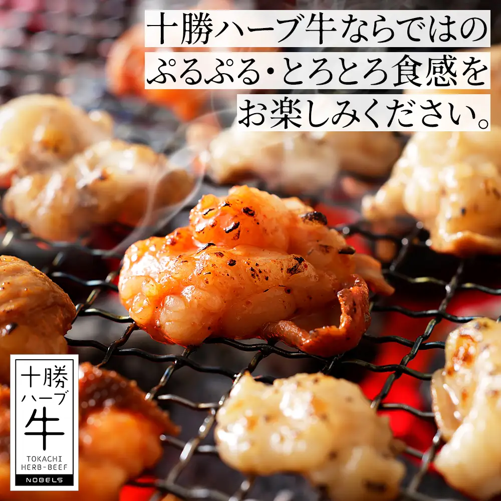 十勝ハーブ牛 国産 ホルモン ミックス 計1kg 味付き 小分け 個包装 200g×5種 ぷるぷる とろとろ 国産 北海道 牛 肉 牛肉 焼肉 キャンプ アウトドア バーベキュー BBQ 冷凍
