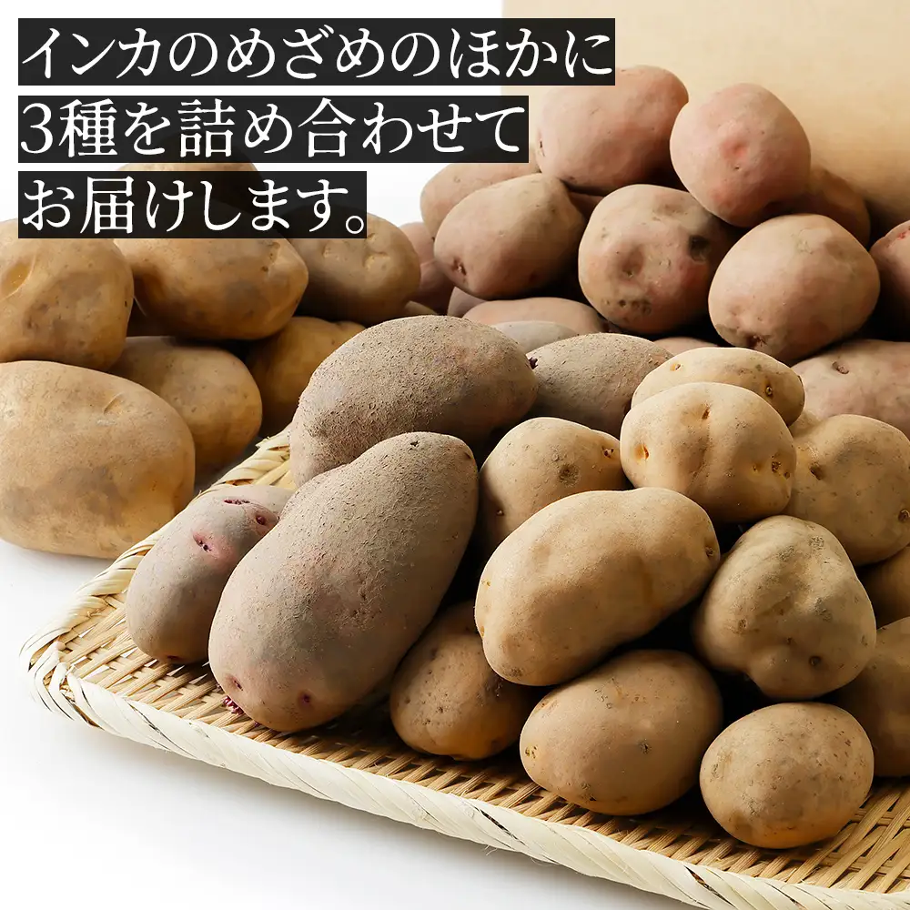 2026年産 先行予約 北海道産 インカのめざめ その他3種 じゃがいも 計10kg（2.5kg×4種） 上士幌町加藤農場 インカの目覚め 馬鈴薯 芋 イモ 野菜 詰め合わせ ◆2026年11月配送予定