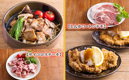 おいしさ満喫　高原育ちの宮崎県産豚肉5種バラエティーセット1.5kg 　TF0779-P00070