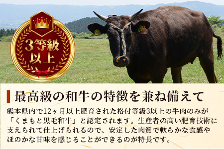 【 A4～ A5 等級 】くまもと黒毛和牛サーロインステーキセット 1kg（ 250ｇ×4枚 ） ブランド 牛肉 肉 サーロイン ステーキ 250ｇ×4枚 記念日 4人分 ご馳走 ご褒美 和牛 国産 熊本県 上級 上質 106-0503