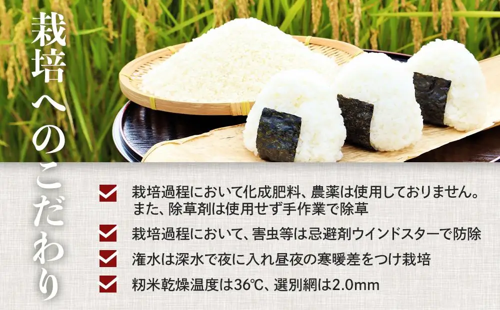 先行予約 令和8年産新米 こしひかり 10kg（農薬・化学肥料不使用）【米 こめ お米 白米 精米 ブランド米 ご飯 人気 徳島 】