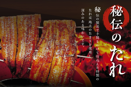 三河一色産　最高級うなぎセット 特大2尾（蒲焼・白焼各1尾）計500g（冷蔵配送）