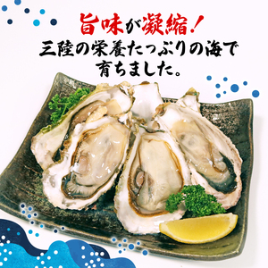 訳あり 生食 殻付き 牡蠣 5kg ＼ 牡蠣 ／