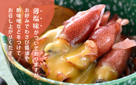 【解凍だけ】 越前町産 ボイル済 ホタルイカ 500g 急速凍結 冷凍 ほたるいか 全国トップクラス漁獲量【 日本海 福井県 海鮮 惣菜 6000円以下】 [e15-a052]