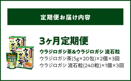 ＜3ヶ月連続定期便＞ウラジロガシ茶＆ウラジロガシ 流石粒[027Y32-T]