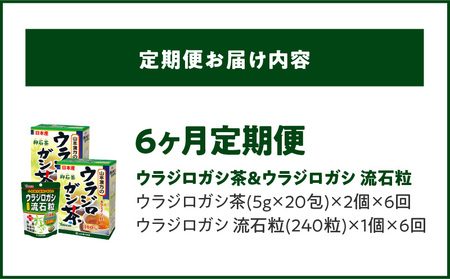 ＜6ヶ月連続定期便＞ウラジロガシ茶＆ウラジロガシ 流石粒[027Y33-T]