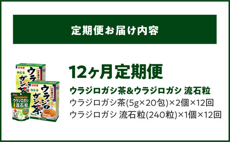 ＜12ヶ月連続定期便＞ウラジロガシ茶＆ウラジロガシ 流石粒[027Y34-T]