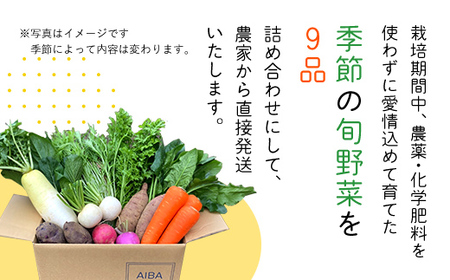 【栽培期間中農薬不使用】農家直送！「９品」季節の新鮮野菜詰め合わせセット  AIBA FARM TML001 / 野菜セット 野菜 千葉県 富里市 直送野菜 お野菜セット 旬野菜 季節野菜 農家直送 採れたて とれたて やさい 詰め合わせ セット ヤサイ  旬の野菜 季節の野菜 産地直送 詰め合わせ おまかせ 新鮮 農薬不使用 野菜 