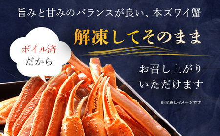 【訳あり】 冷凍ボイル本ズワイ蟹　4肩（1kg） TMN004 / わけあり 訳あり 訳アリ ずわいがに ずわいガニ ズワイガニ ズワイ蟹 本ズワイ蟹 本ずわいがに 本ズワイガニ 本ズワイ蟹 蟹 かに カニ 冷凍ボイル本ズワイ蟹 冷凍ボイル 冷凍ずわいがに 冷凍ズワイガニ 冷凍ズワイ蟹 冷凍本ズワイ蟹 冷凍本ずわいがに 冷凍本ズワイガニ 冷凍本ズワイ蟹 冷凍蟹 冷凍かに 冷凍カニ 肩 ずわい ズワイ スクーナー
