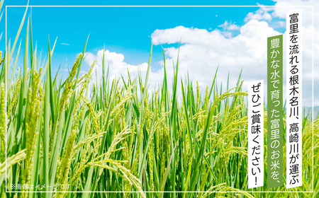 令和7年産 富里市産コシヒカリ ５㎏ TMF004 / こしひかり コシヒカリ 米 こめ コメ 白米 単一米 精米 うるち精米 5kg もっちり 柔らか うまみ 旨味 うま味 日本食 鮮度自慢 産直 産地直送 J A富里 農協 千葉県 富里市 千葉産 千葉県産 ちば とみさと トミサト 富里 
