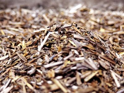 ほうじ茶 ティーバッグ 80包 有機茶 オーガニック茶 ほうじ茶