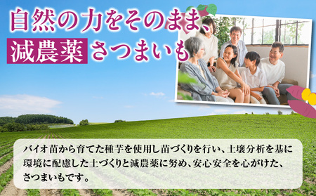 いも農家 の 極甘焼きいも（ べにはるか 冷凍 1.3kg） K270-002