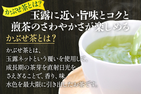【2026年産】緑茶 星野茶 八女茶 お茶 星野村の八女茶 かぶせ茶 80g×2本 お取り寄せグルメ お取り寄せ 福岡 お土産 九州 福岡土産 取り寄せ グルメ 福岡県