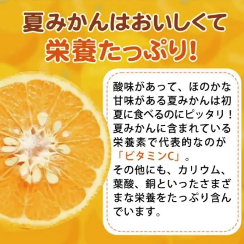 夏みかん 7.2kg　※2027年4月中旬頃〜2027年4月末頃順次発送（お届け日指定不可）【uot775】