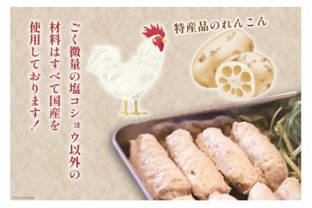 つくね串 れんこんつくね 約40g 18本 [北島藤原精肉店 徳島県 北島町 29al0013]