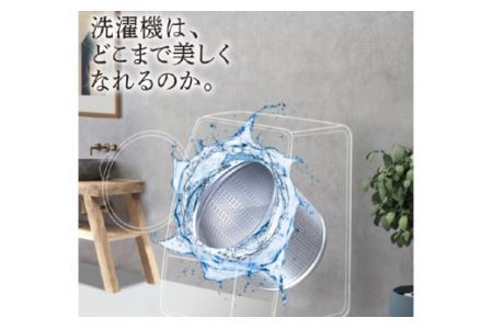 洗濯槽クリーナー WASHMANIA 200g 1回分 [ 四国化成 工業 徳島県 北島町 29ao0001]