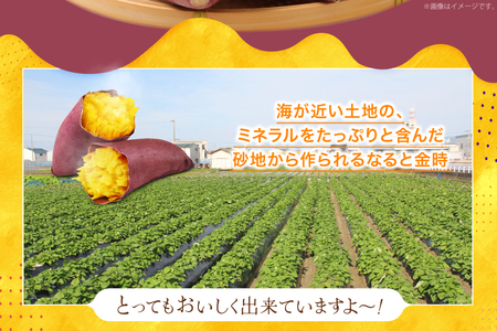 【大人気！】 さつまいも なると金時 5kg [北島町役場 徳島県 北島町 29bb0001]