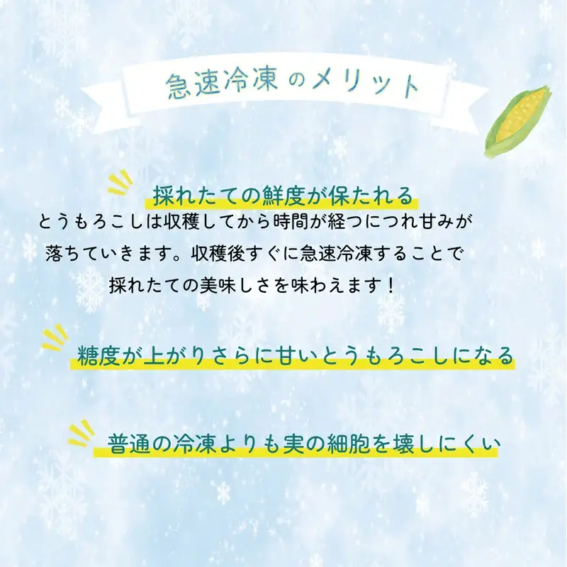 ＜ささや農園産 極★凍結とうもろこし 12本＞北海道 道産 国産 乙部町 とうもろこし とうきび 冷凍 急速冷凍 鮮度そのまま 甘さ 糖度 個包装 ゴールドラッシュ 恵味ゴールド