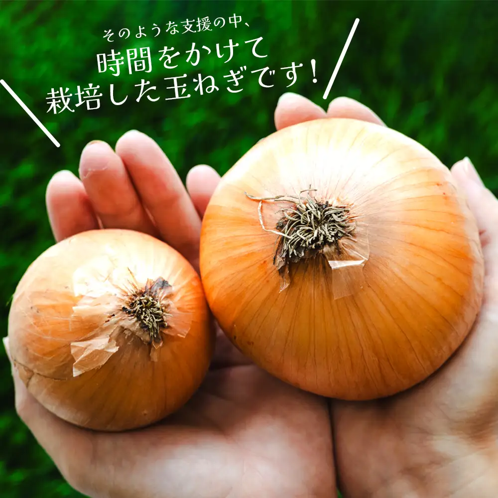 玉ねぎ 5kg 先行予約 【玉ねぎ 玉葱 タマネギ 玉ねぎ 高知県 たまねぎ 玉ねぎ 玉ねぎ 玉ねぎ 玉ねぎ 玉ねぎ】 ke-0036