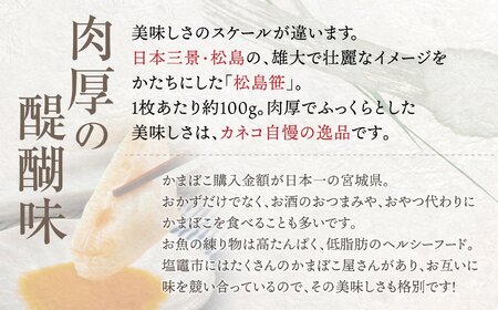 かまぼこ 松島笹 和紙包装 5枚 入り かまぼこ かまぼこ かまぼこ