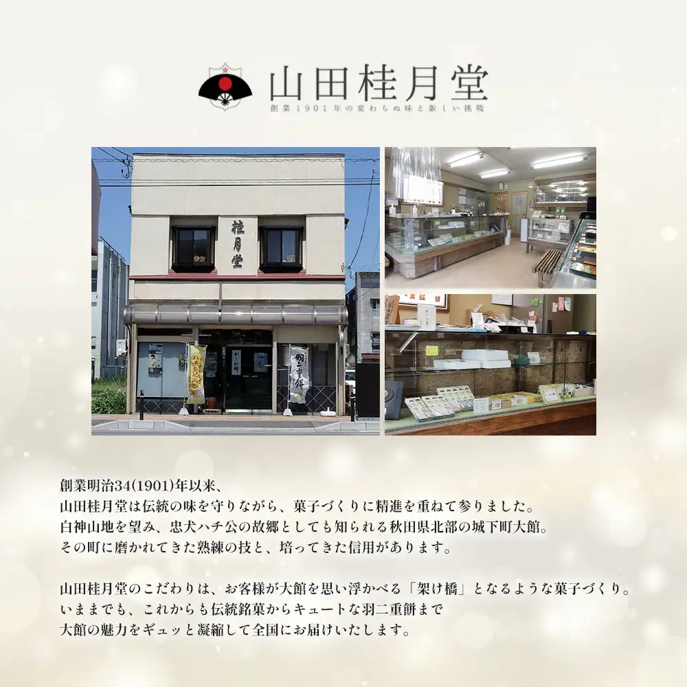 ＜山田桂月堂＞チョコレート饅頭　10個入り　40P5614