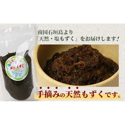 石垣島産天然もずく10パック・内容量450g×10 合計4.5kg 　SI-64