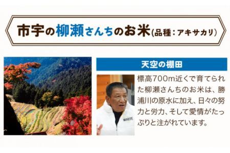 かみかつ棚田未来づくり協議会 米 かみかつの棚田米 柳瀬さんちのお米 アキサカリ レターパック配送 3合《30日以内に出荷予定(土日祝除く)》 |米棚田米米棚田米米棚田米米棚田米米棚田米徳島県 上勝町 ふるさと納税 送料無料 st-p