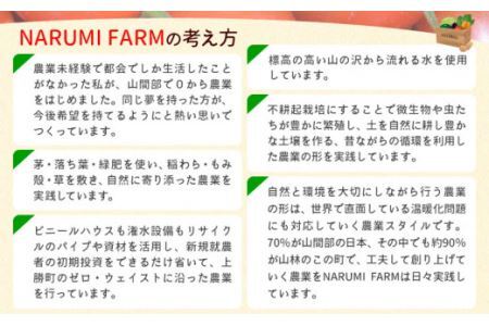 山茶 ミント 1パック NARUMIFARM《30日以内に出荷予定(土日祝除く)》お茶 茶 ハーブティー 自然栽培 ブレンドティー ブレンド オーガニック 飲料 飲み物 お家時間 徳島県 上勝町 送料無料