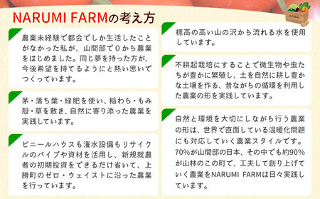 上勝レッド ピューレ プレイン 1瓶 200ml NARUMIFARM 《30日以内に出荷予定(土日祝除く)》ピューレ トマトピューレ とまと トマト 野菜 やさい オーガニック お肉 お魚 パスタ パスタソース ペンネ ピザ 徳島県 上勝町 送料無料