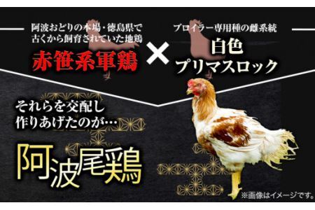 阿波尾鶏 骨付き 合計 2kg《30日以内に出荷予定(土日祝除く)》