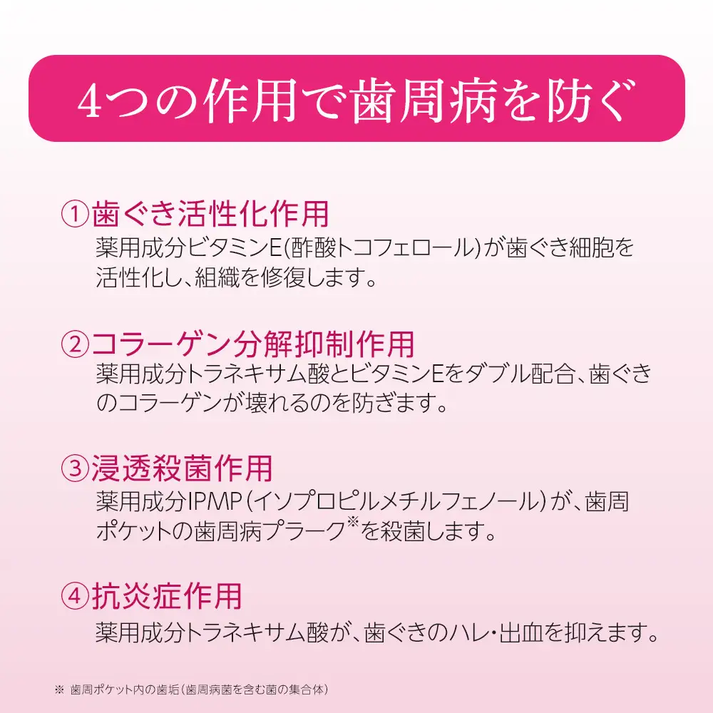 【寄附額見直しました！】LION ハグキプラスリンスセット 日用品 ふるさと納税