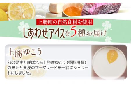 しあわせアイス 5種 セット 計6個 彩食品グループ 《30日以内に出荷予定(土日祝除く)》アイス アイスクリーム ご当地 スイーツ ご当地 アイス 特産品 柑橘 柚香 晩茶 お取り寄せ カップ ジェラート 徳島県 上勝町 送料無料