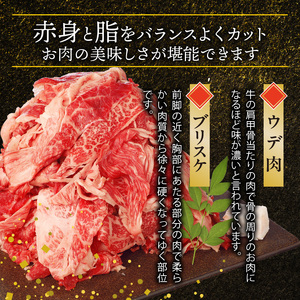 博多和牛 赤身切り落とし 500g（250g×2p） _KY4206