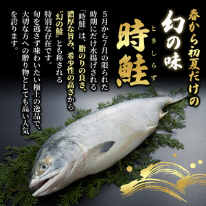 北海道産 時鮭 半身 500g～550g 鮭 さけ シャケ 魚 甘塩 冷凍 半身加工 旬 