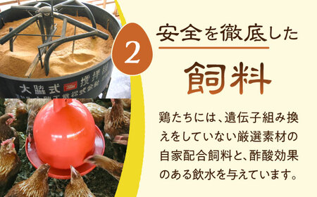 放し飼い 自然卵 「歩荷」 箱80個入 / 卵 たまご 鶏卵 玉子 平飼い / 稲沢市 / 平飼い自然卵歩荷 [BMBM004]