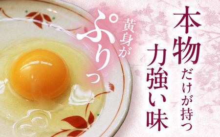 名古屋コーチン 卵 120個（10個入×12パック）（保証20個含） / 卵 たまご 玉子 鶏卵 名古屋コーチン / 稲沢市 / 櫛田養鶏場 [BMAY002]