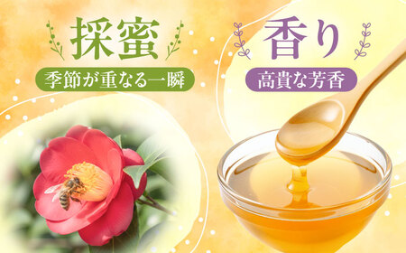 【ギフト箱入り】椿はちみつ（200g×3本） / はちみつ 国産 非加熱 純粋 蜂蜜 天然 ハチミツ / 稲沢市 / 椿園株式会社 [BMBI003]