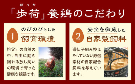 元祖 「尾張名物とり餃子」 60個 / 餃子 ニンニク不使用 冷凍 ギョーザ 生餃子 おつまみ / 稲沢市 / 平飼い自然卵歩荷 [BMBM005]