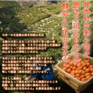 こだわりの完熟 有田みかん 5kg ＋150g(傷み補償分)｜ みかん