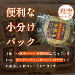 地鶏ハンバーグ_地鶏ハンバーグ 〔Ax404〕