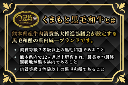 【A4～ A5等級】くまもと黒毛和牛モモステーキ 約1kg ( 100ｇ×10P ) ≪ ブランド 牛肉 肉 赤身 モモ ステーキ 1kg 大容量 小分け ご馳走 和牛 国産 熊本県 上級 上質 ≫106-0507