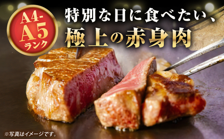 【A4〜A5ランク】長崎和牛 極上 ヒレステーキ 300g（150g×2枚）《壱岐市》【野中精肉店】 黒毛和牛 牛肉 和牛 赤身 希少部位 24000円 24000 [JGC001]