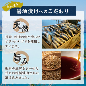 松浦アジフライと海鮮醤油漬けセット( 魚 鯵 人気 )【B0-245】