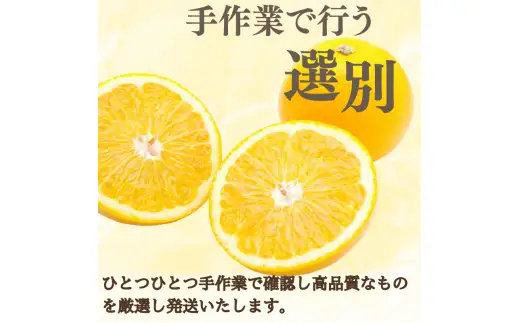  新鮮！はじける食感！「きみのハッサク」3kg  サイズ L~2L ご家庭用(秀優混合)/八朔 柑橘 和歌山県 手選別 【kmf011】